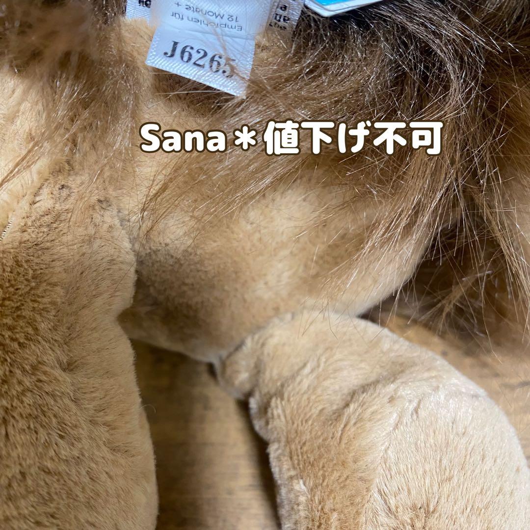 廃盤　新品　 Bashful Spike Hedgehog M