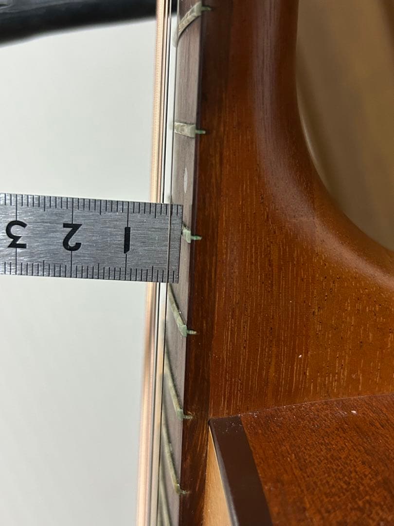 シーガル M6 スプルース　アコースティックギター