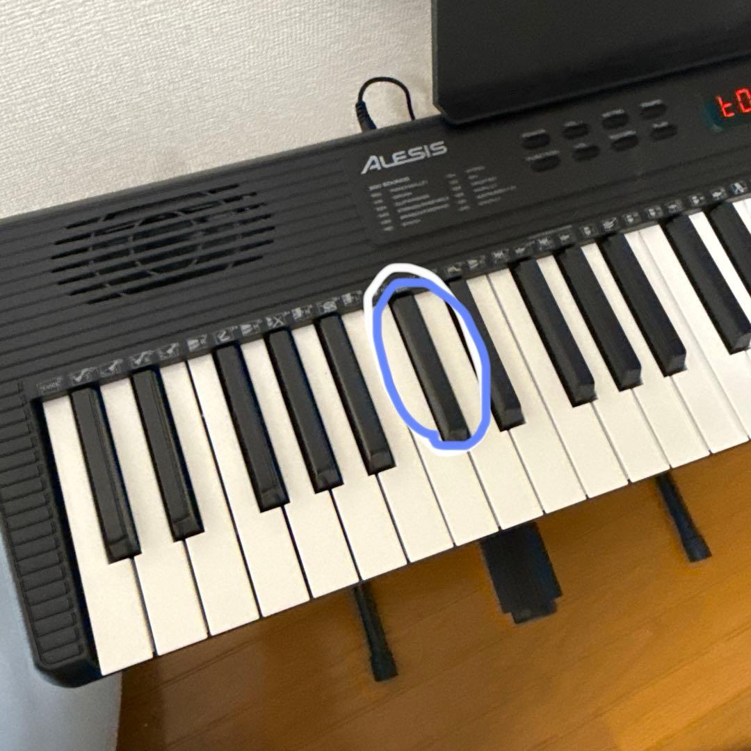 ゆ*き様 Alesis Recital Pro 66鍵盤 電子ピアノ