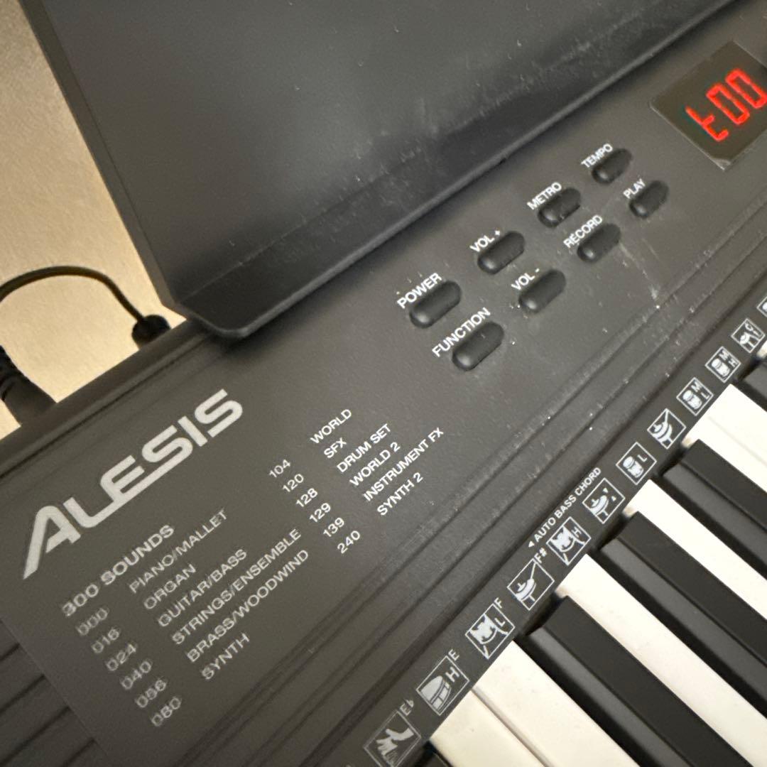 ゆ*き様 Alesis Recital Pro 66鍵盤 電子ピアノ