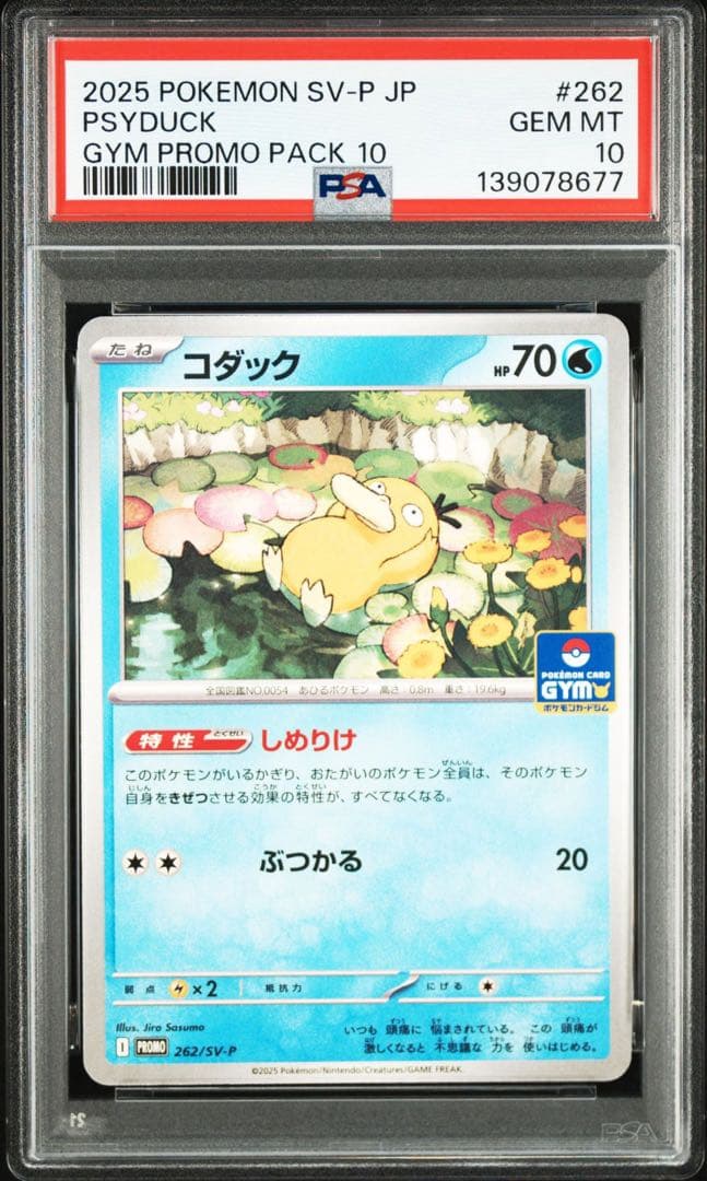 コダック P [SV-P 262](プロモ「第10弾」) PSA10