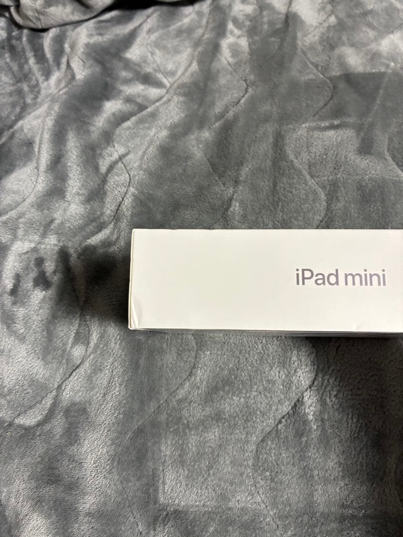 第6世代　iPad mini6 256GB 　バッテリー89%