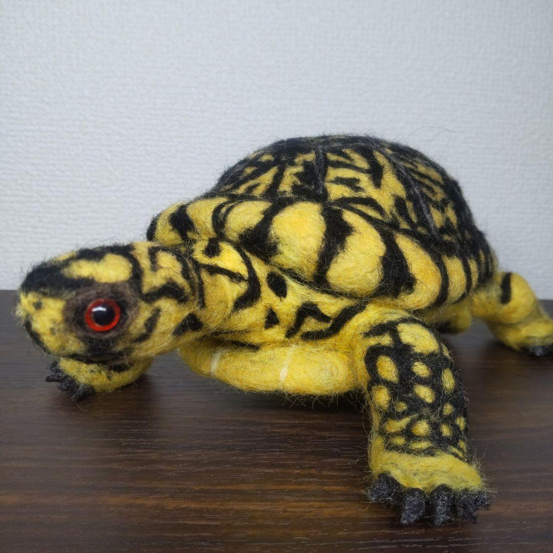 羊毛フェルト　カメ　トウブハコガメ