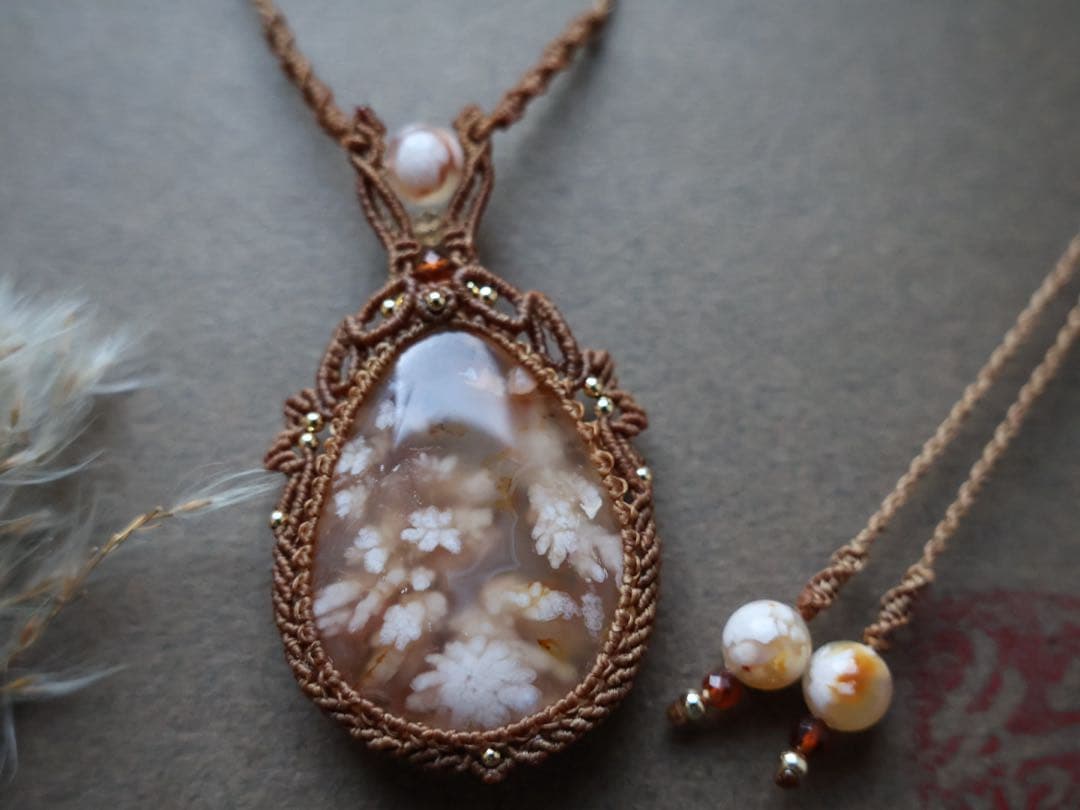 でんちゃん 1/25