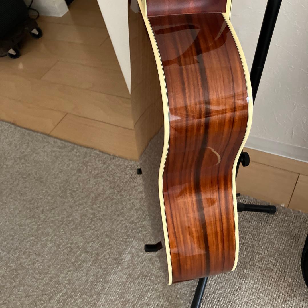 【新品】YAMAHA LL6 ARE セミハードケース付