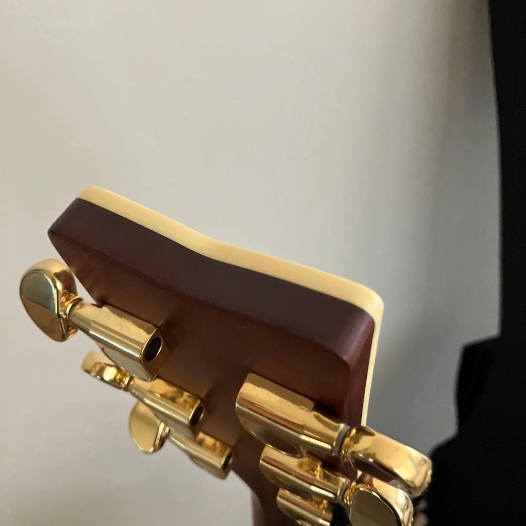 【新品】YAMAHA LL6 ARE セミハードケース付