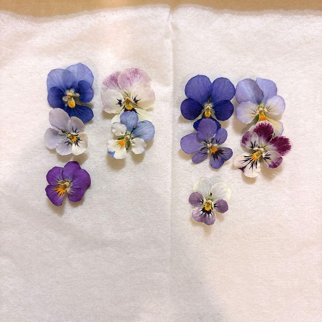 NANA'S☆ピアス ポニーフック バレッタ
