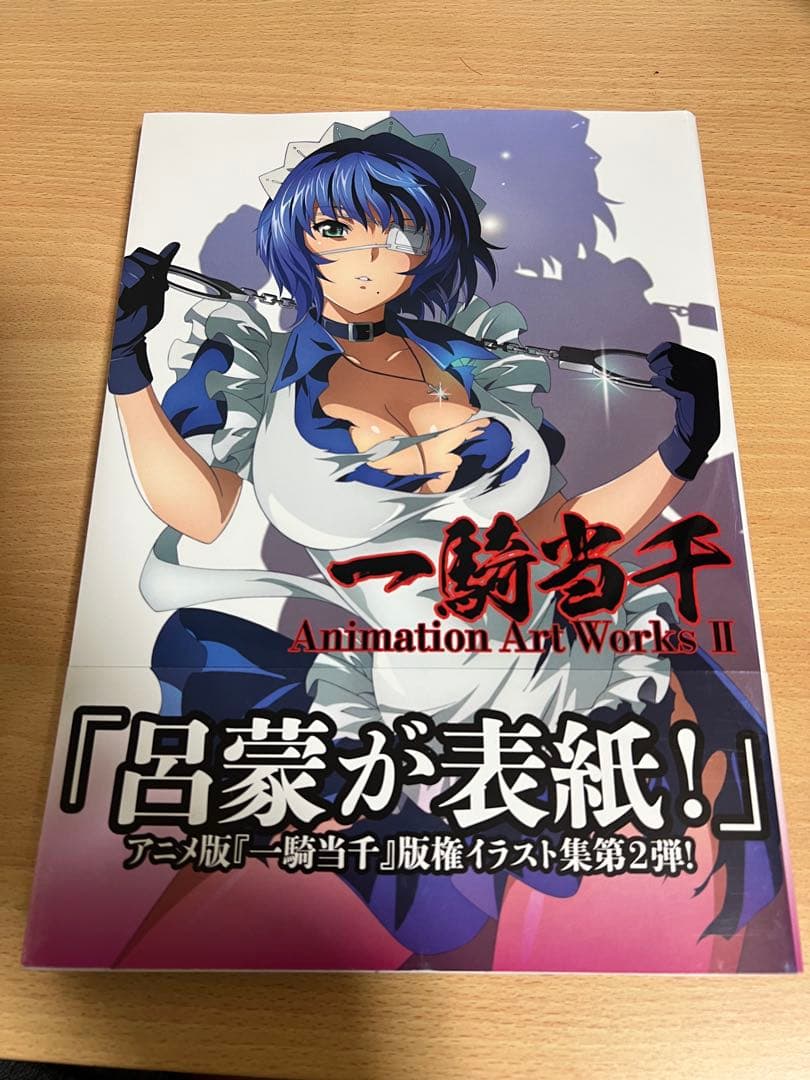 一騎当千 Animation Art Works I & IIと別冊