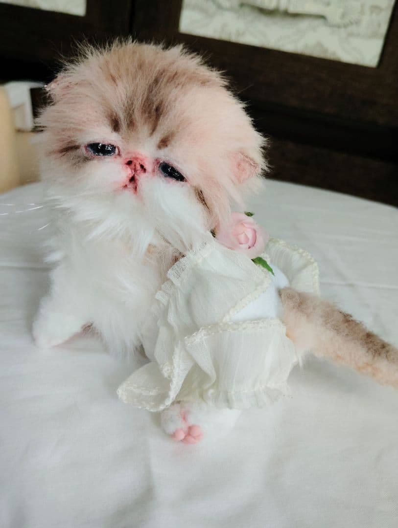 あちゃん様御予約❤ミーナちゃんと♡生後10日♡うるうるオメメの子猫ちゃん♡