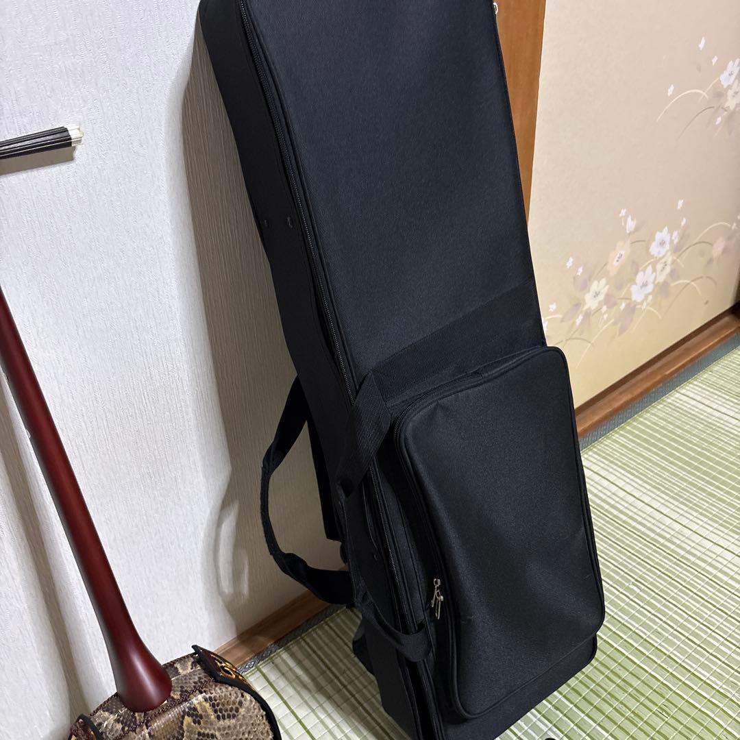 三線 蛇三線 本皮 本革 蛇皮 蛇革 三味線 琉球 沖縄 楽器　ソフトケース付き