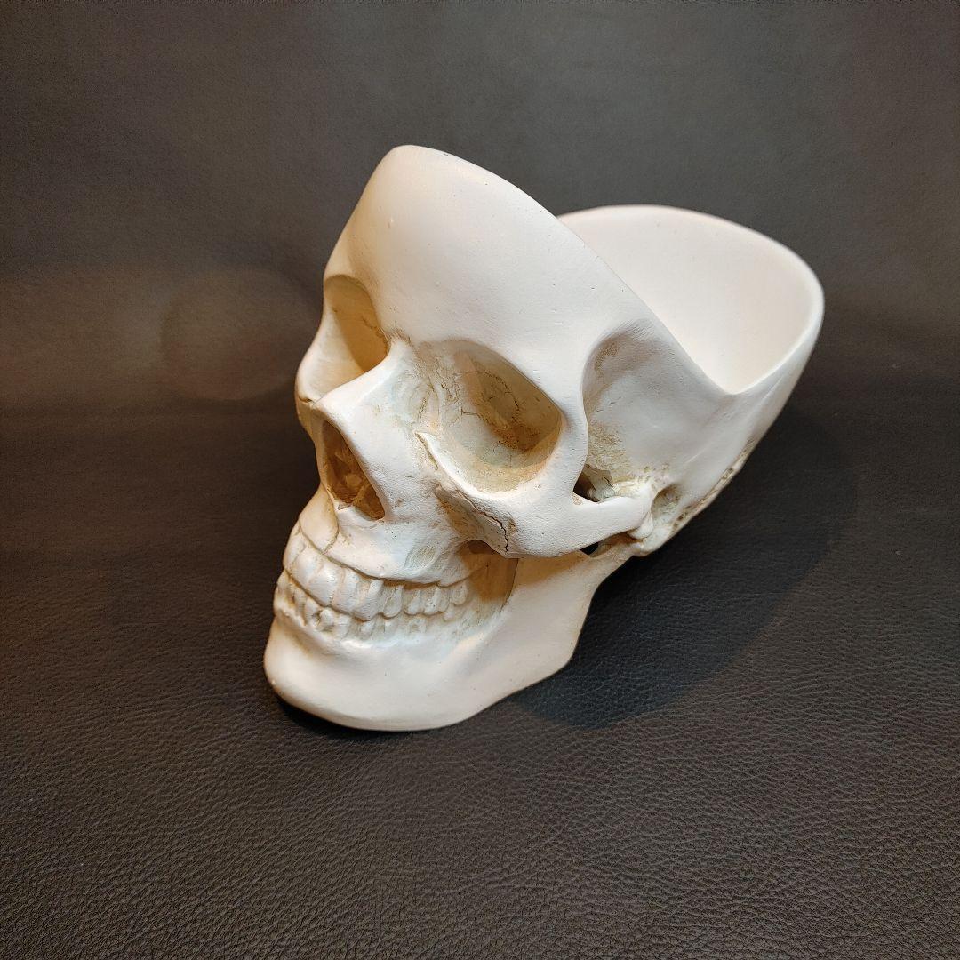 SKULL TIDY　SUCK UK　小物入り