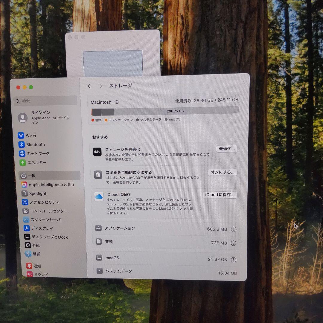 Macデスクトップ Apple iMac 24inch 2021 M1 8GB SSD256GB