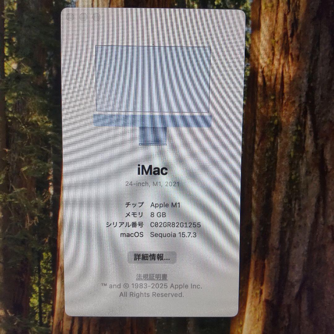 Macデスクトップ Apple iMac 24inch 2021 M1 8GB SSD256GB