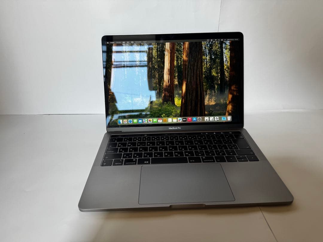 MacBook Pro 13インチ 2019 / i5 / 16GB/256GB