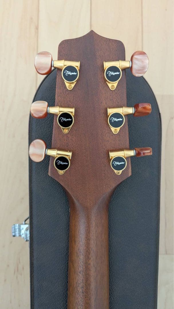 【3月末まで値下中】Takamine NPT-010 タカミネ エレアコ