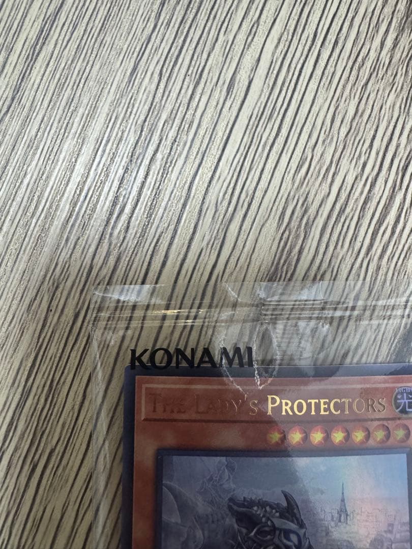 遊戯王OCG The Lady's Protectors 未開封