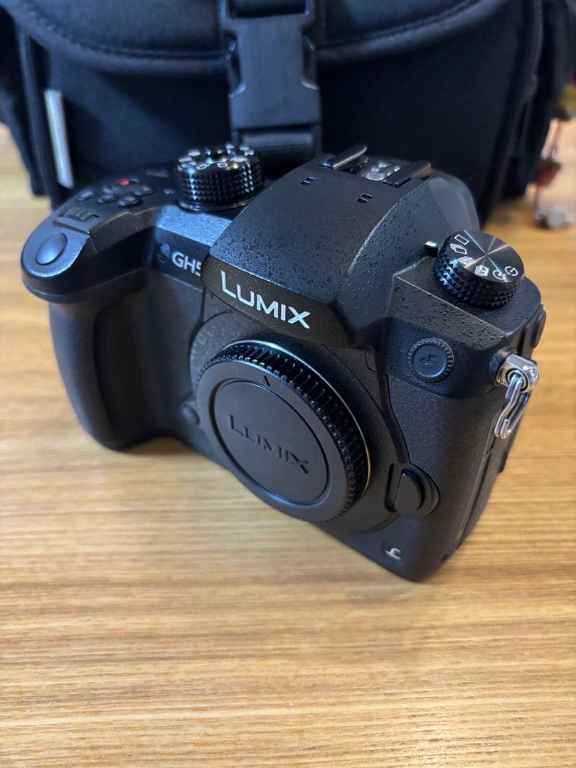 【最終値下げ】LUMIX GH5 ミラーレス一眼 GVARIO12-32mm