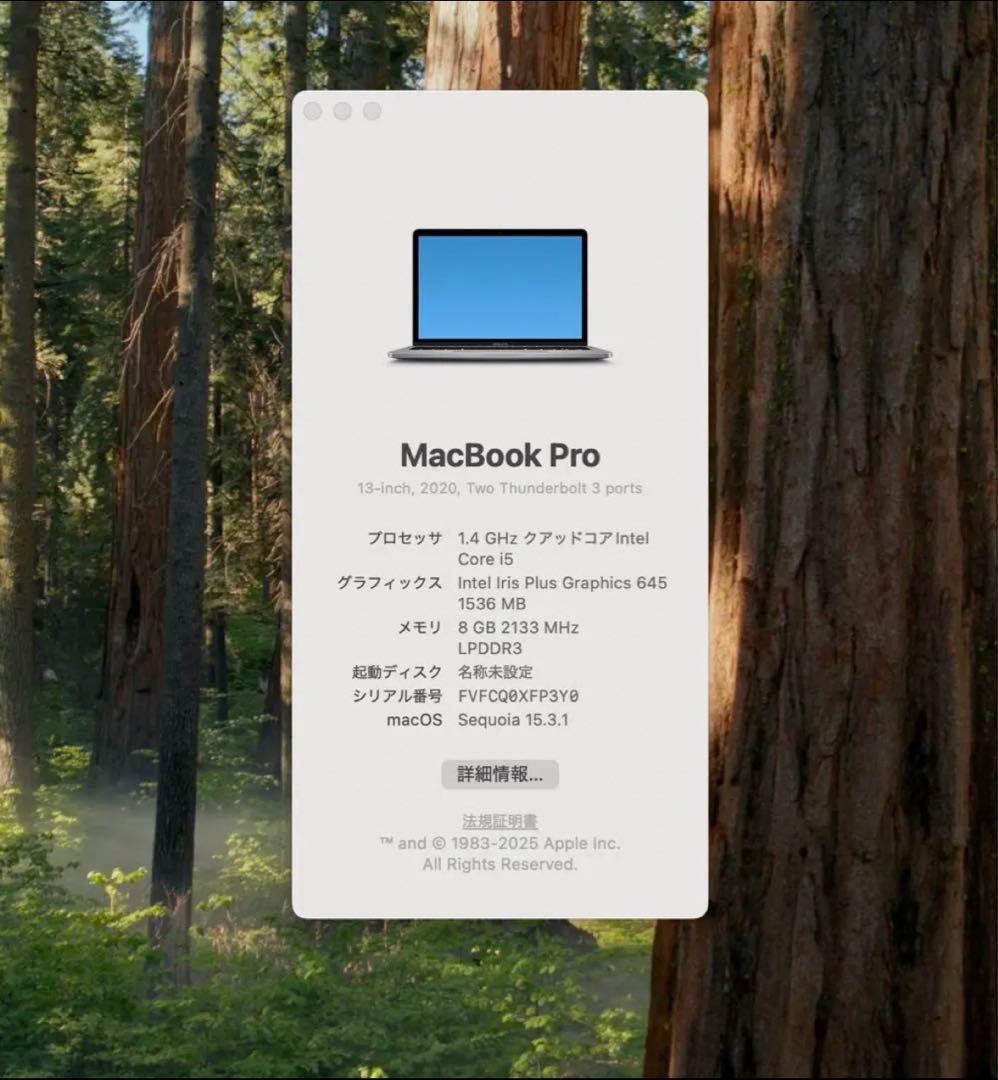 Apple MacBook Pro 13インチ (2020) 本体