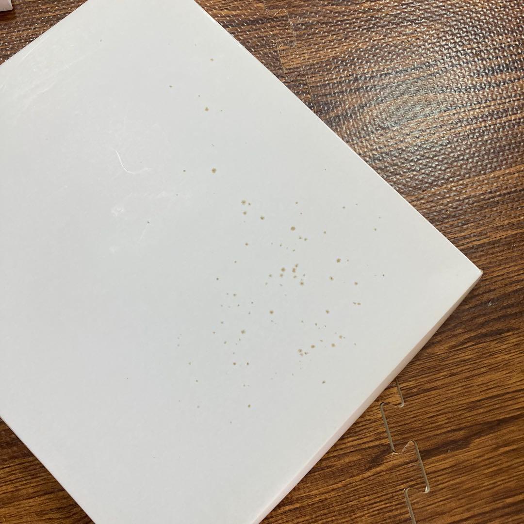 ★バラ売り可★スタジオアリス　四つ切り　フォトフレーム　8つ