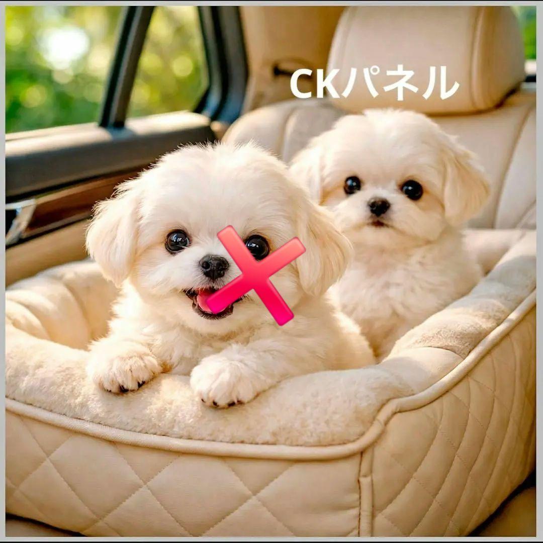 激レア車でお出かけチワワ、マルチーズ、ポメラニアン、柴犬、トイプー、パグパネル
