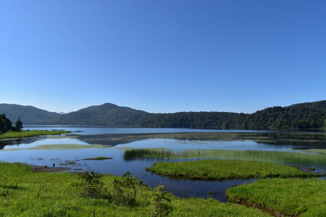 Nikon D5600 デジタル一眼レフカメラ 18-55mm VRキット