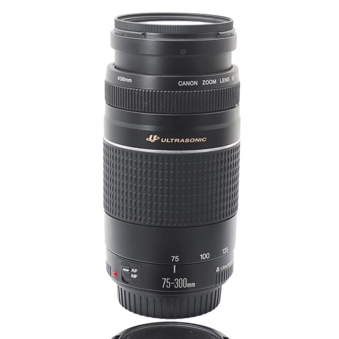 Canon EOS 40D ダブルレンズ 望遠300mm バック付