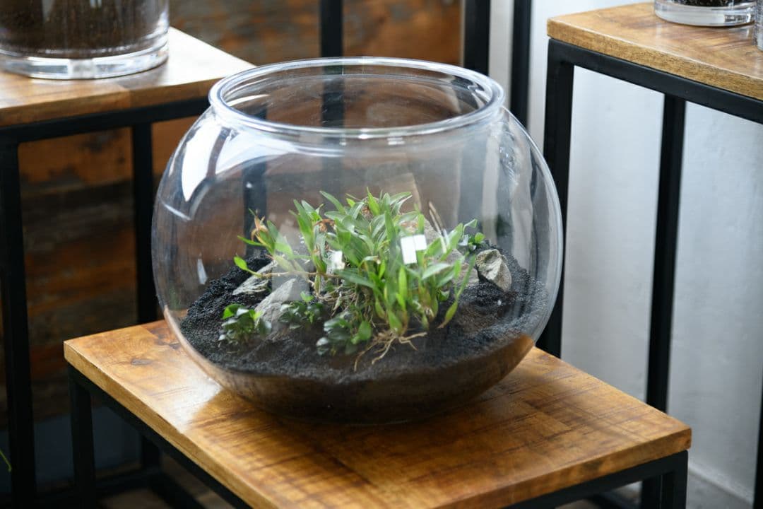 【割れないガラス!?】ポリカーボネート製品2300076
