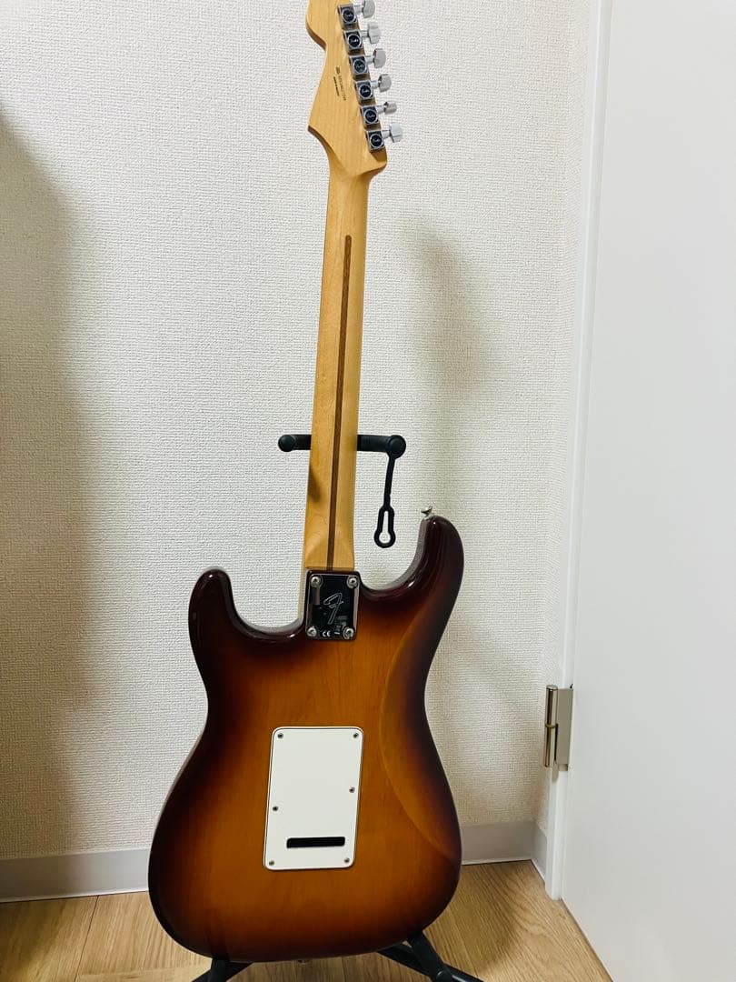 【monophonic様】FenderMexico player PlusTop