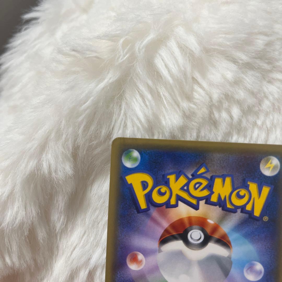 【美品】サトシゲッコウガ　EX プロモ　218/XY-P