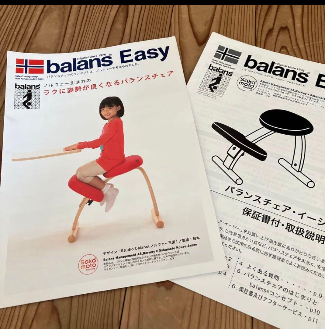 r*a様 サカモトハウス バランスイージーチェア