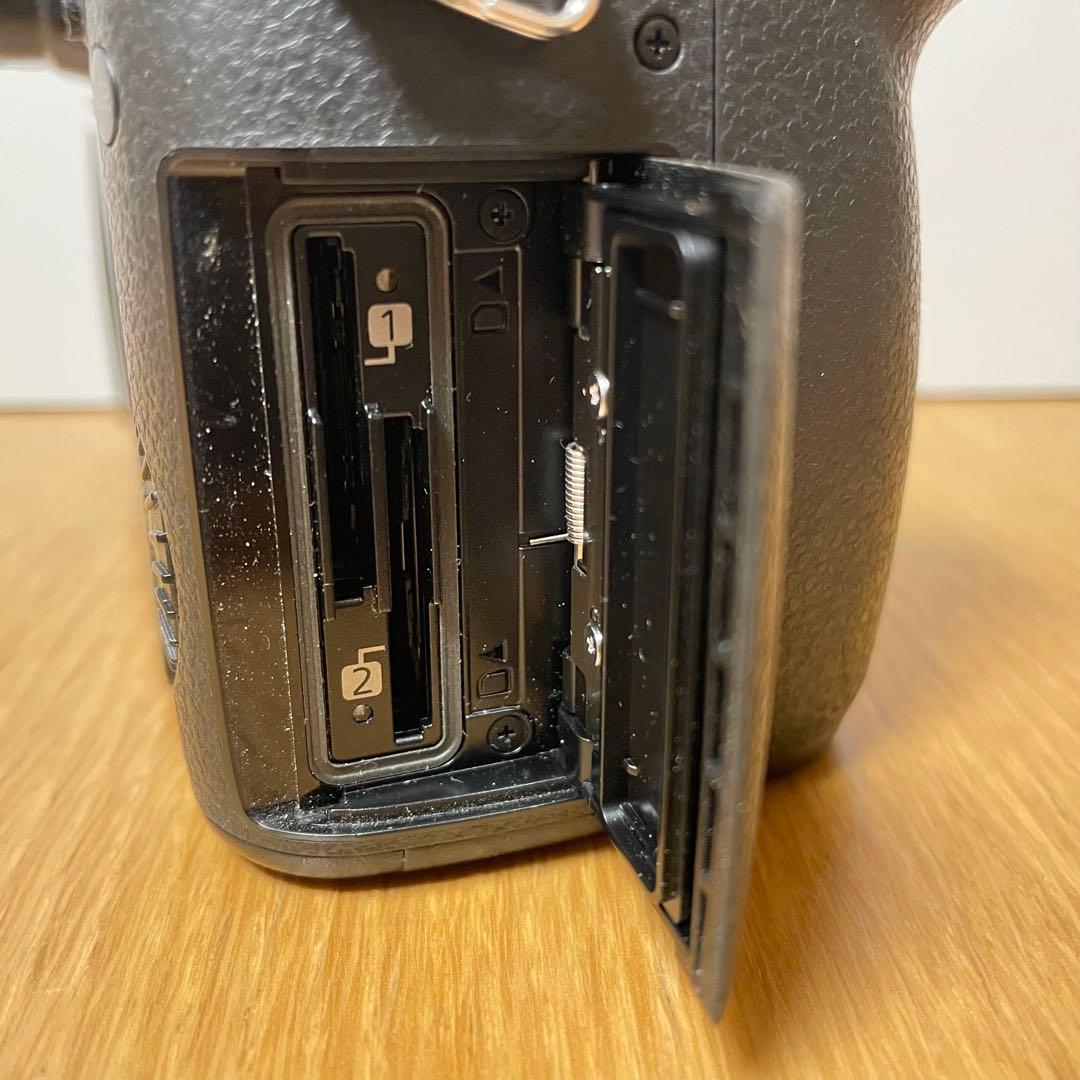 LUMIX DC-GH5M ※おまけ付き