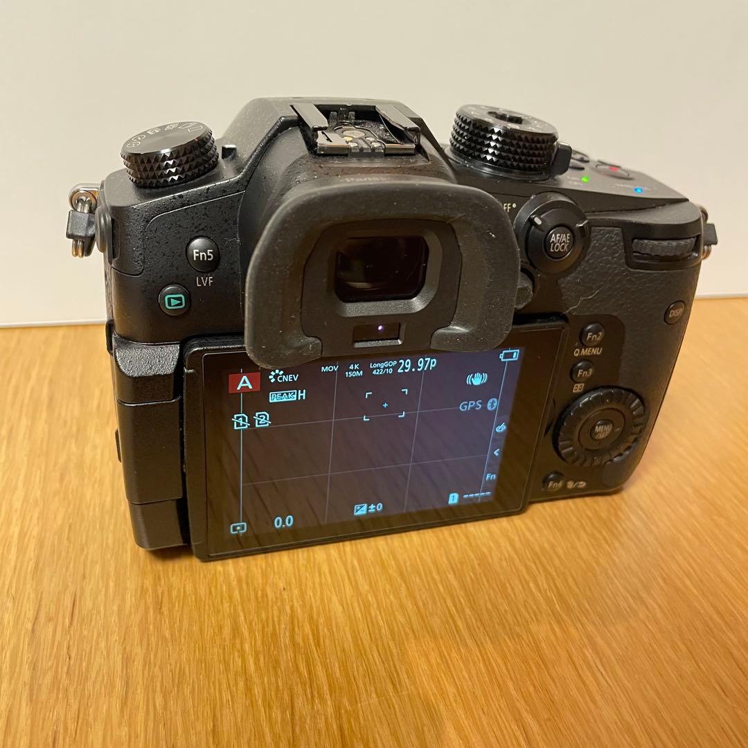 LUMIX DC-GH5M ※おまけ付き