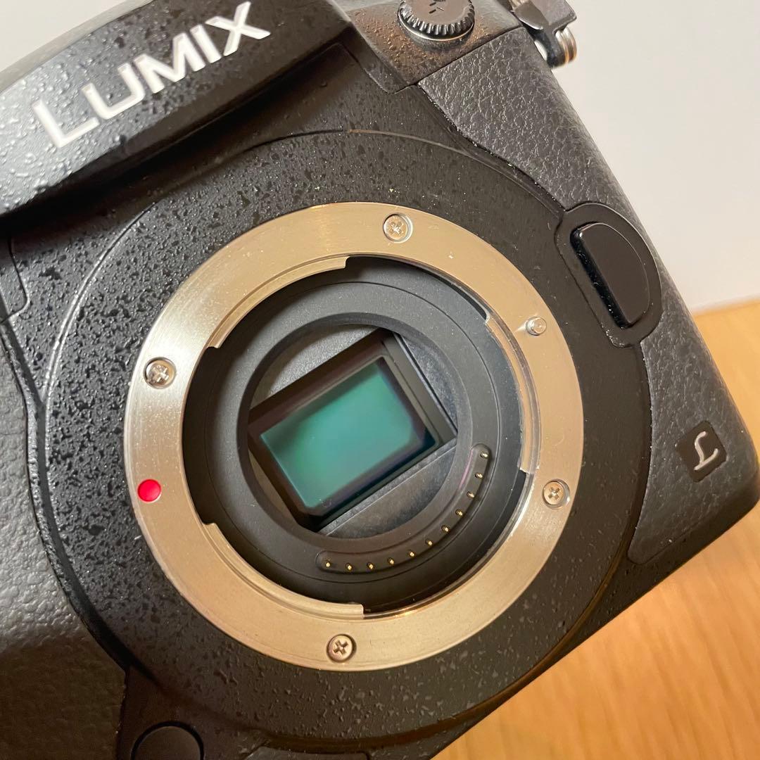 LUMIX DC-GH5M ※おまけ付き