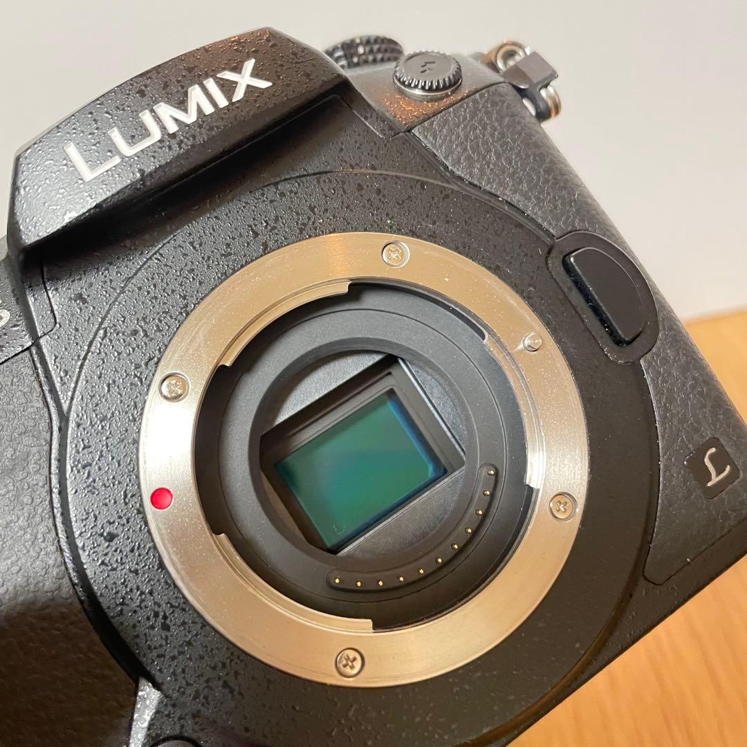 LUMIX DC-GH5M ※おまけ付き