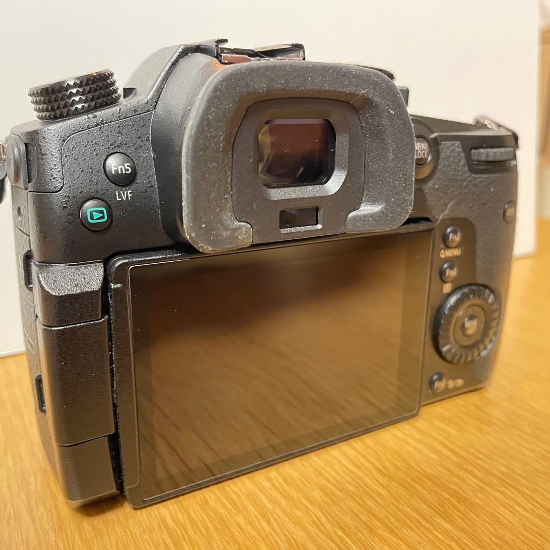 LUMIX DC-GH5M ※おまけ付き