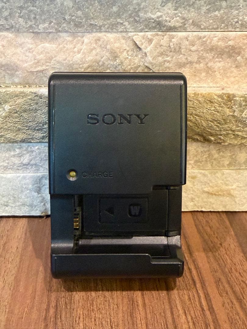 Sony α55 デジタル1眼セット　すぐ撮れます