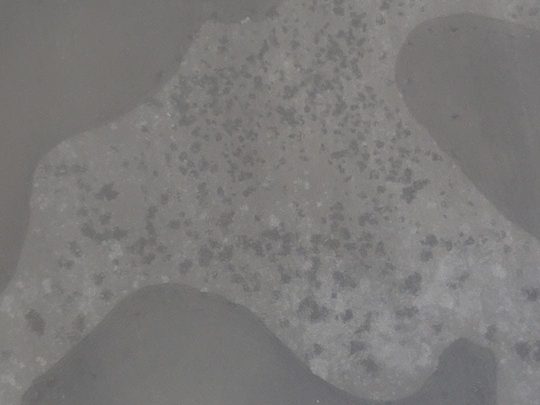 長崎県対馬若田硯 源照作 未使用 共箱 DT446