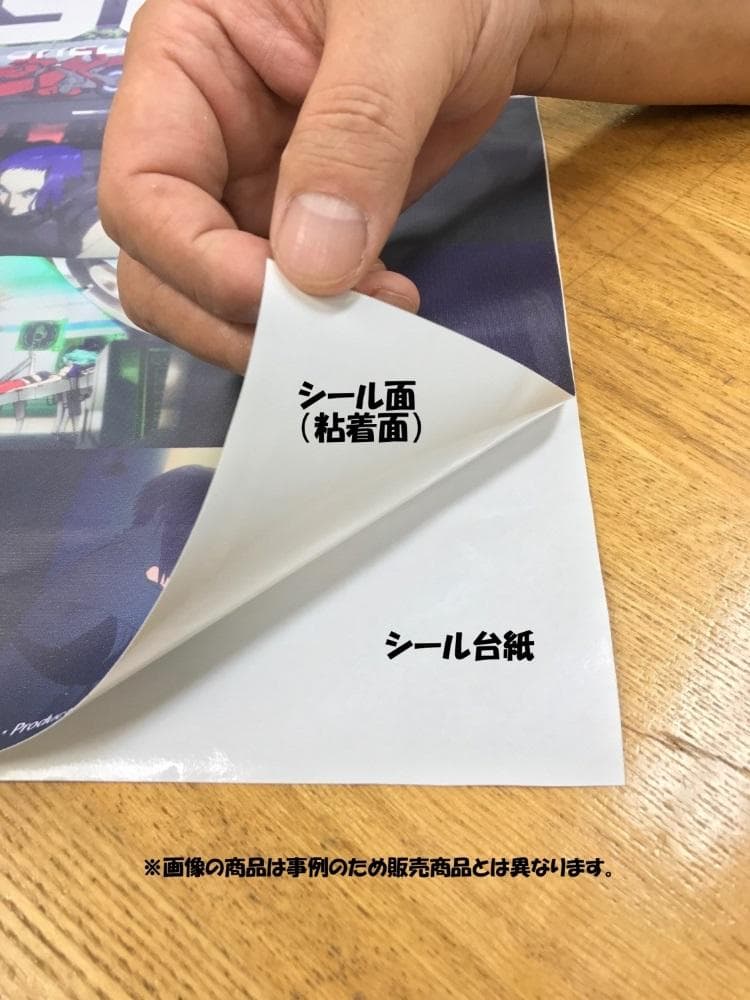 ディズニーシー ディズニーリゾート パノラマ 壁紙ポスター 005S1