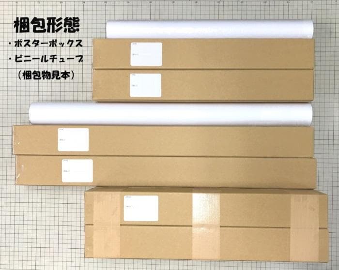 ディズニーシー ディズニーリゾート パノラマ 壁紙ポスター 005S1