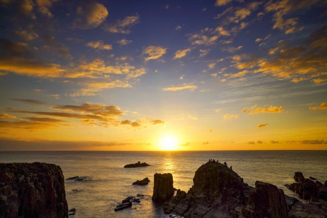 TOKINA FiRIN 20mm F2 FE MF(α Eマウント系)