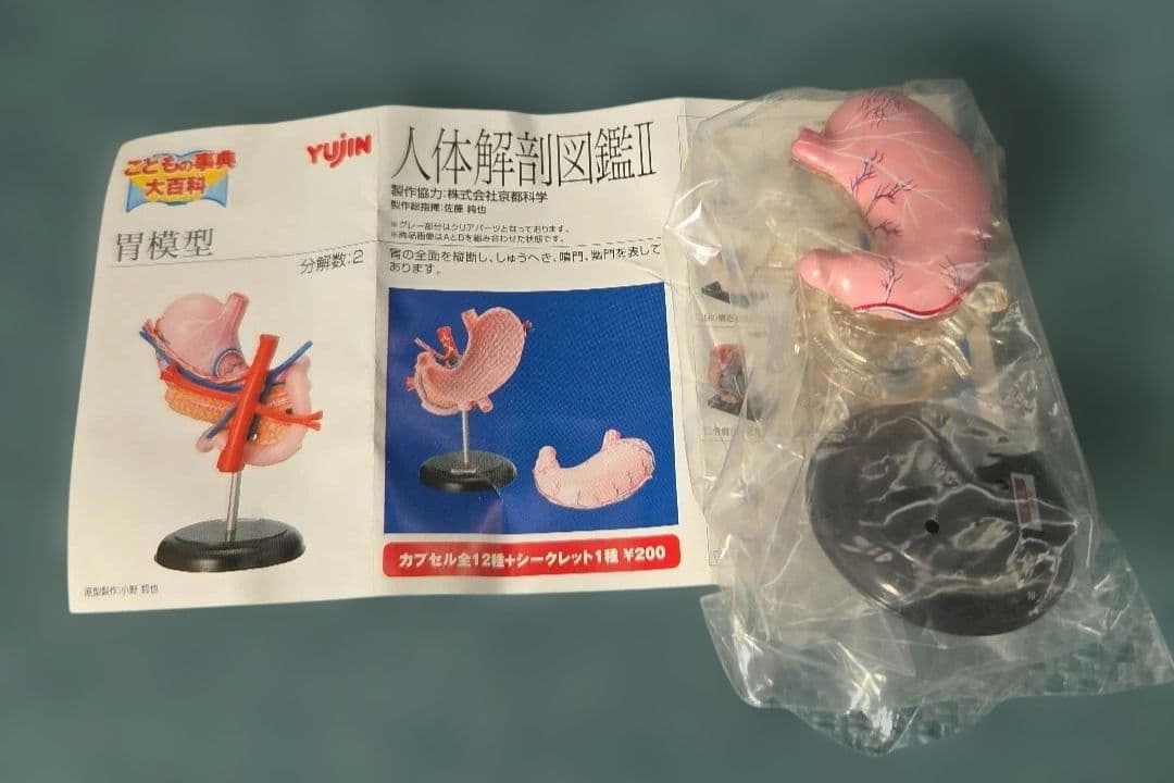 ユージン 人体解剖図鑑II 未開封 9種