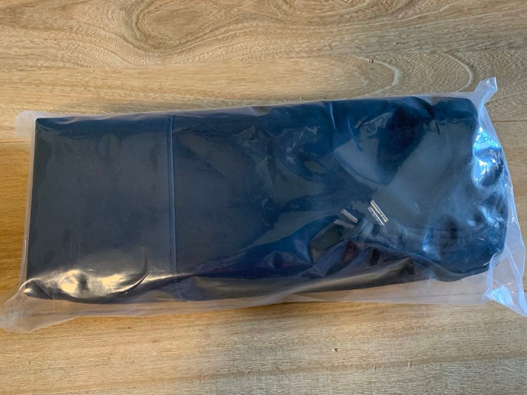 EFFECT AUDIO PORTABLE CARRYING CASE ケース