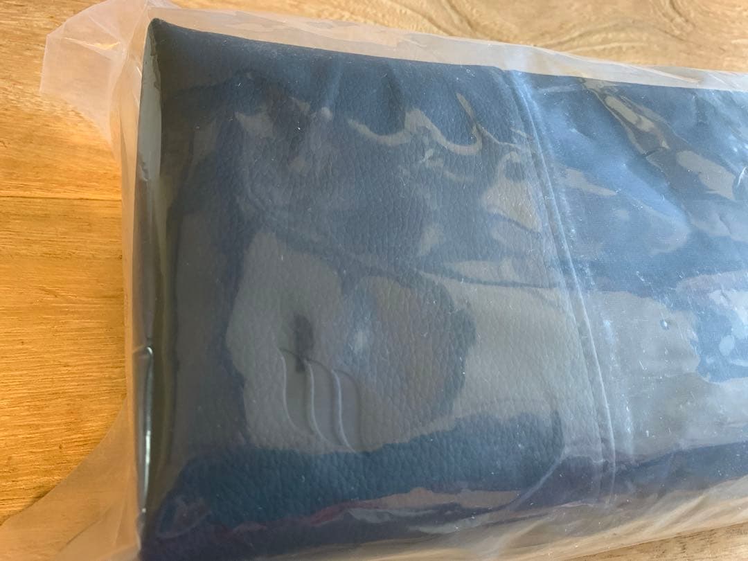EFFECT AUDIO PORTABLE CARRYING CASE ケース