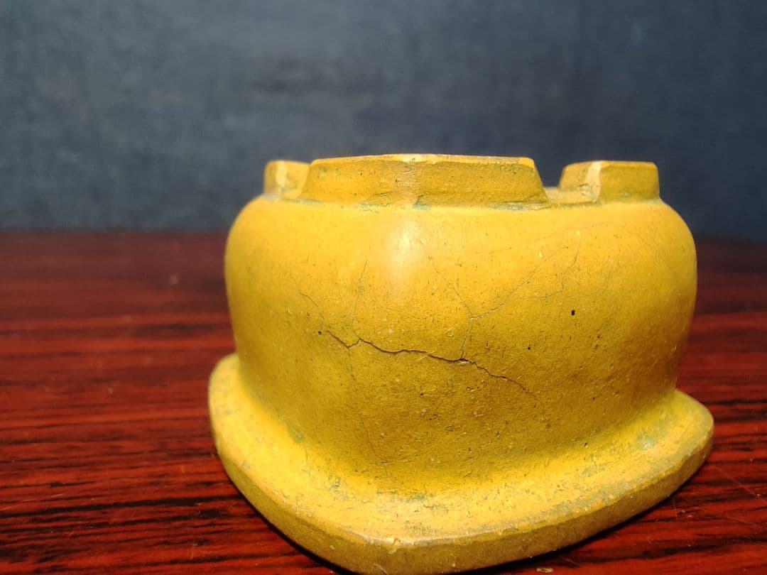 盆栽小鉢　　【和雀】　　希少品　　早い者勝ち