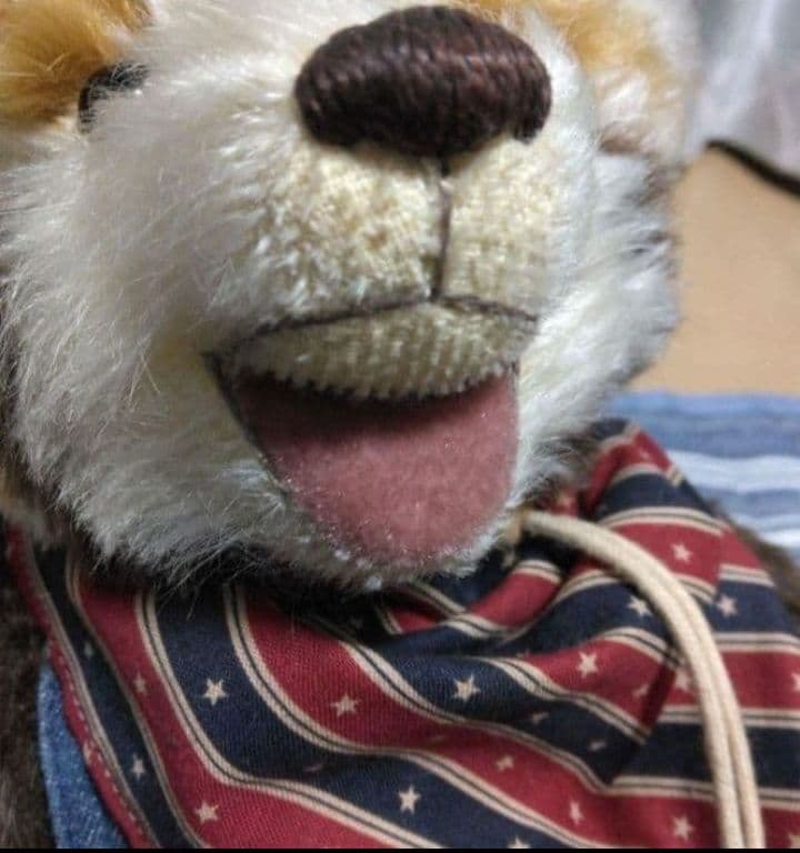 ハンドメイド　バンダナ、帽子付きぬいぐるみ 約30cm　アライグマ