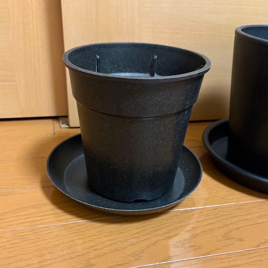 プランター
