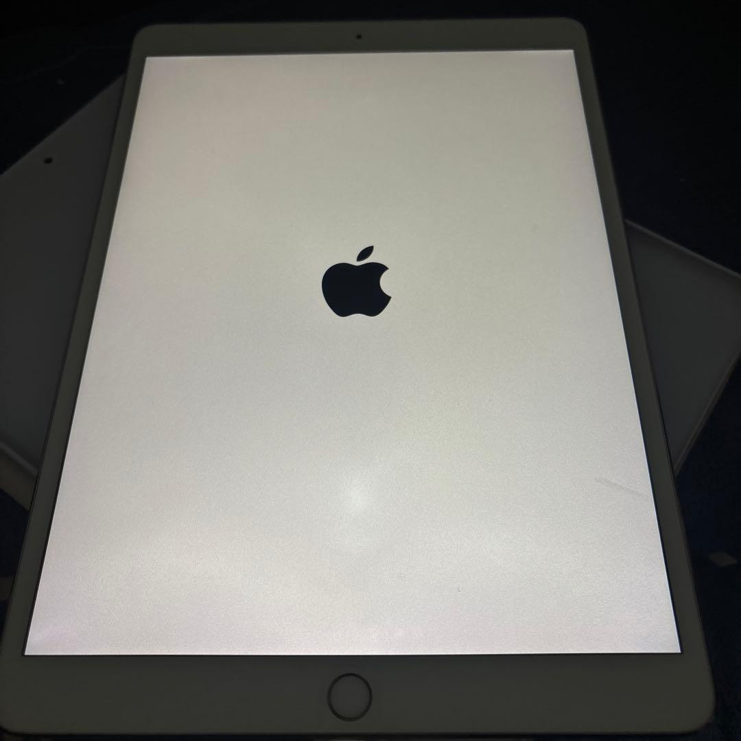 美品 iPad pro 10.5インチ 256GB Apple pencil