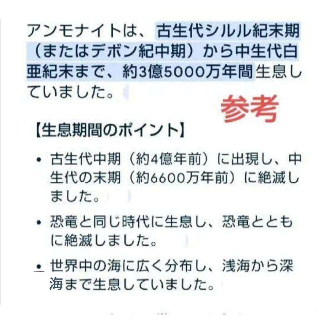 A-7 アンモネックレス AI鑑定レッドファイヤー メルカリ鑑番A-7
