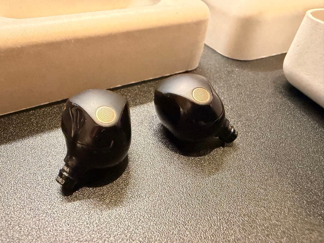 WF-1000XM5 イヤーピースなし