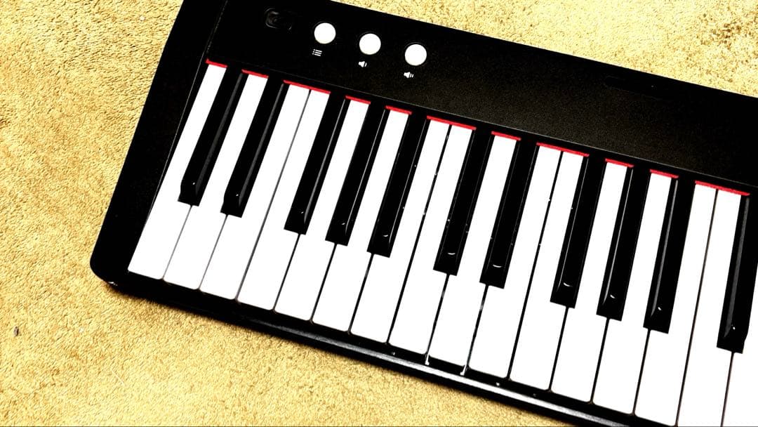 TERENCE 電子ピアノ　61鍵盤　初心者向け